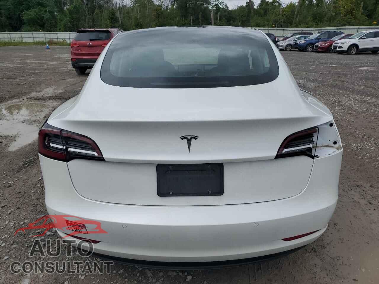 TESLA MODEL 3 2020 - 5YJ3E1EA1LF504424