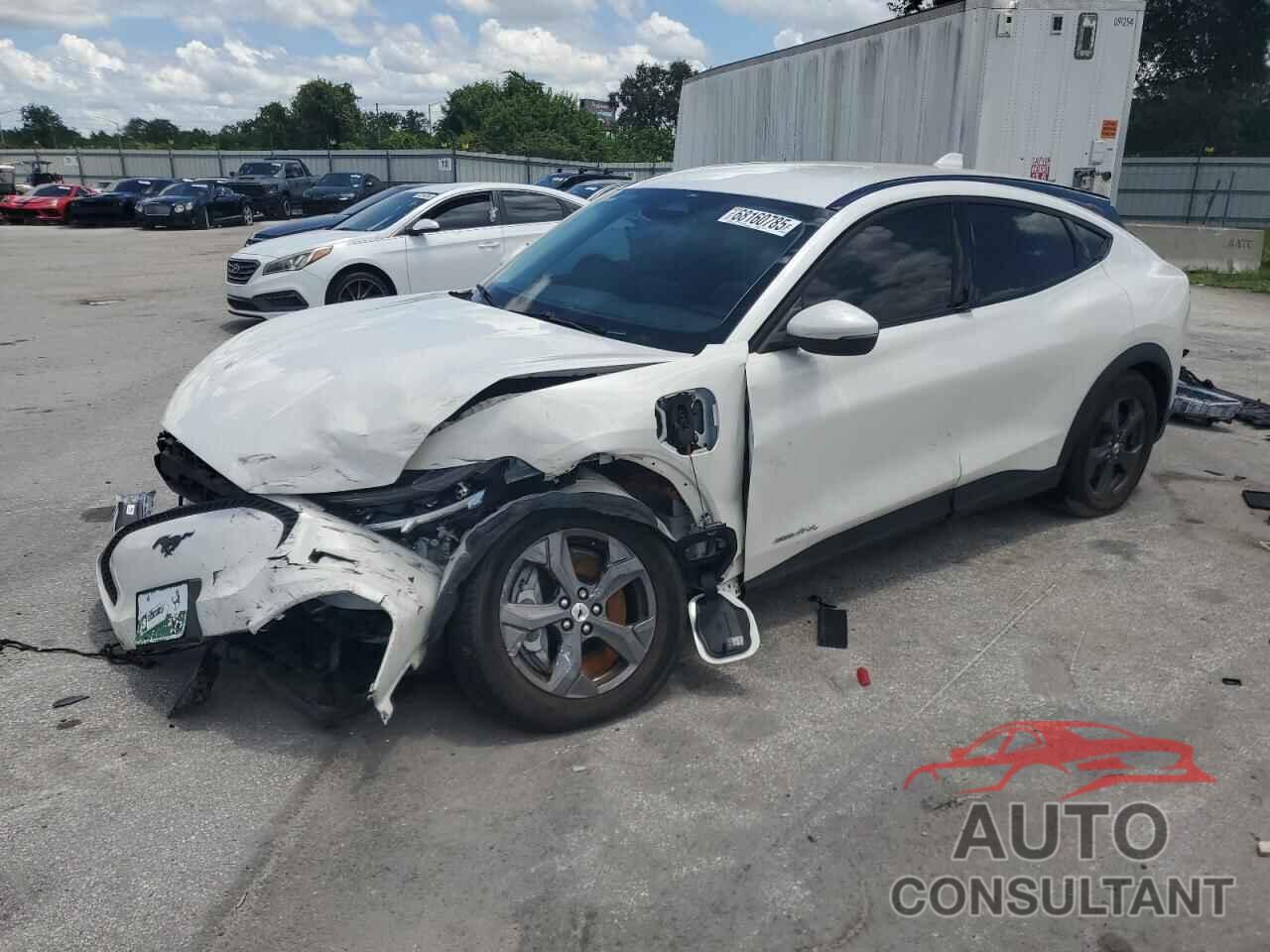 FORD MUSTANG 2021 - 3FMTK1SS3MMA49090