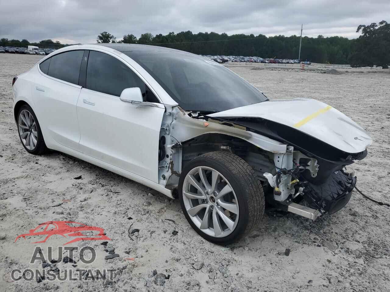 TESLA MODEL 3 2019 - 5YJ3E1EB0KF513462