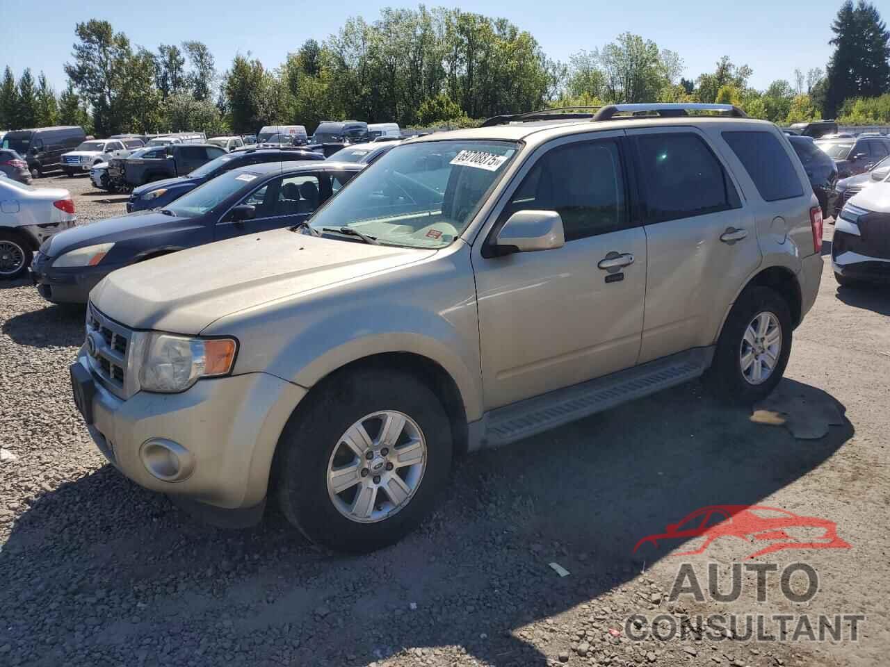 FORD ESCAPE 2010 - 1FMCU9E74AKB29937