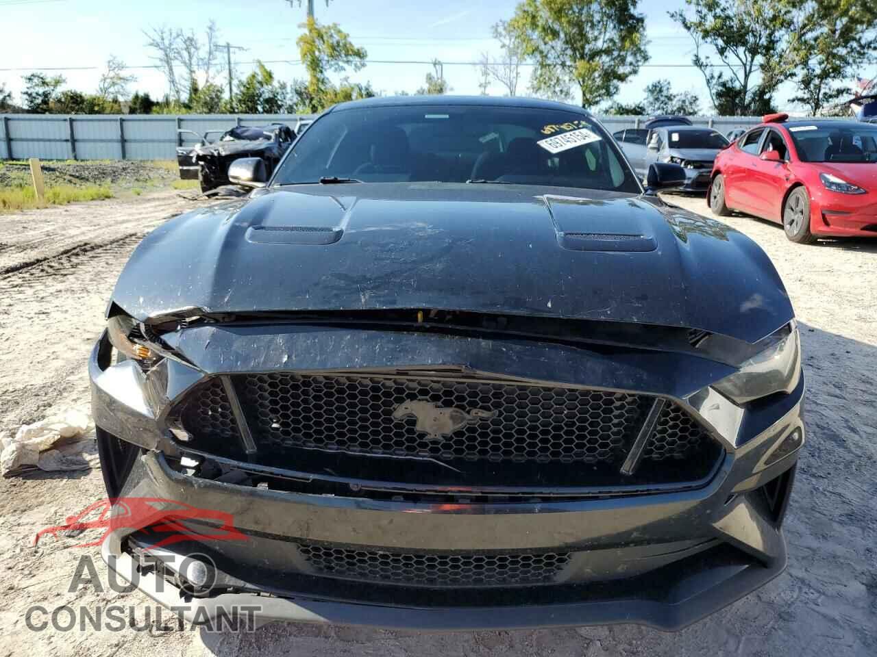 FORD MUSTANG 2019 - 1FA6P8CF7K5167181