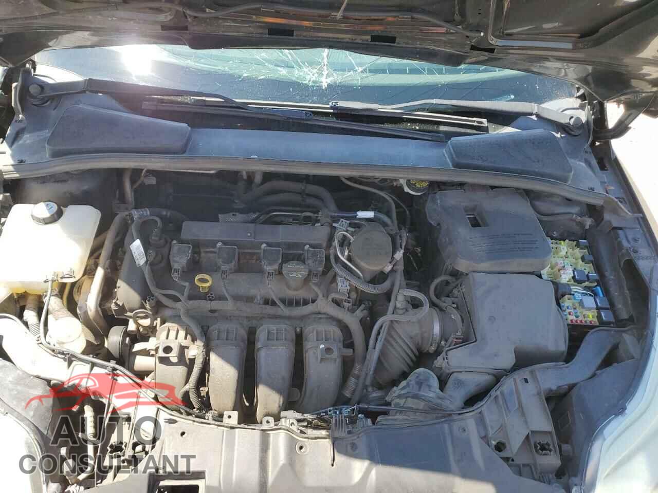 FORD FOCUS 2012 - 1FAHP3E22CL155247