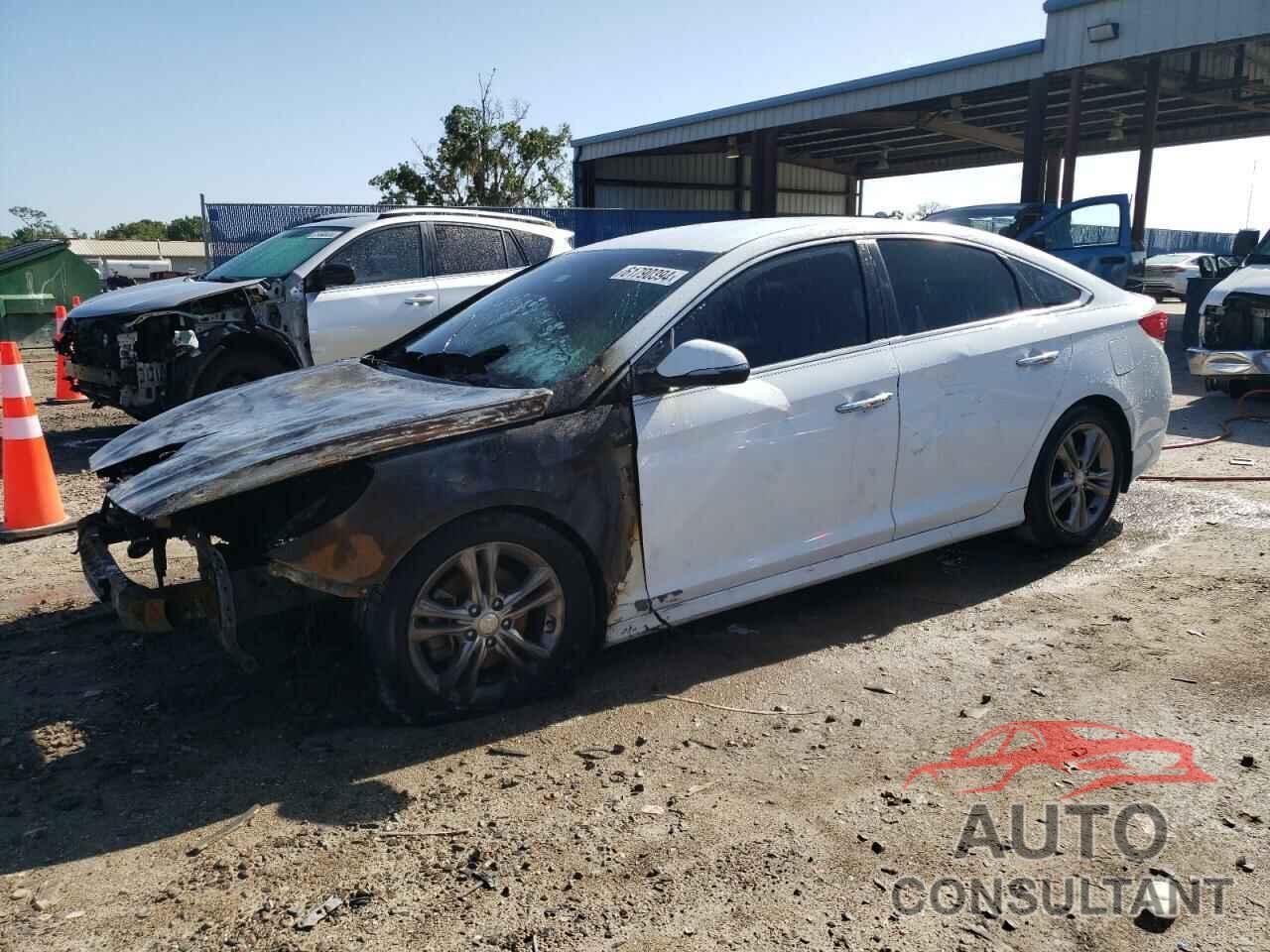 HYUNDAI SONATA 2018 - 5NPE34AF6JH604325