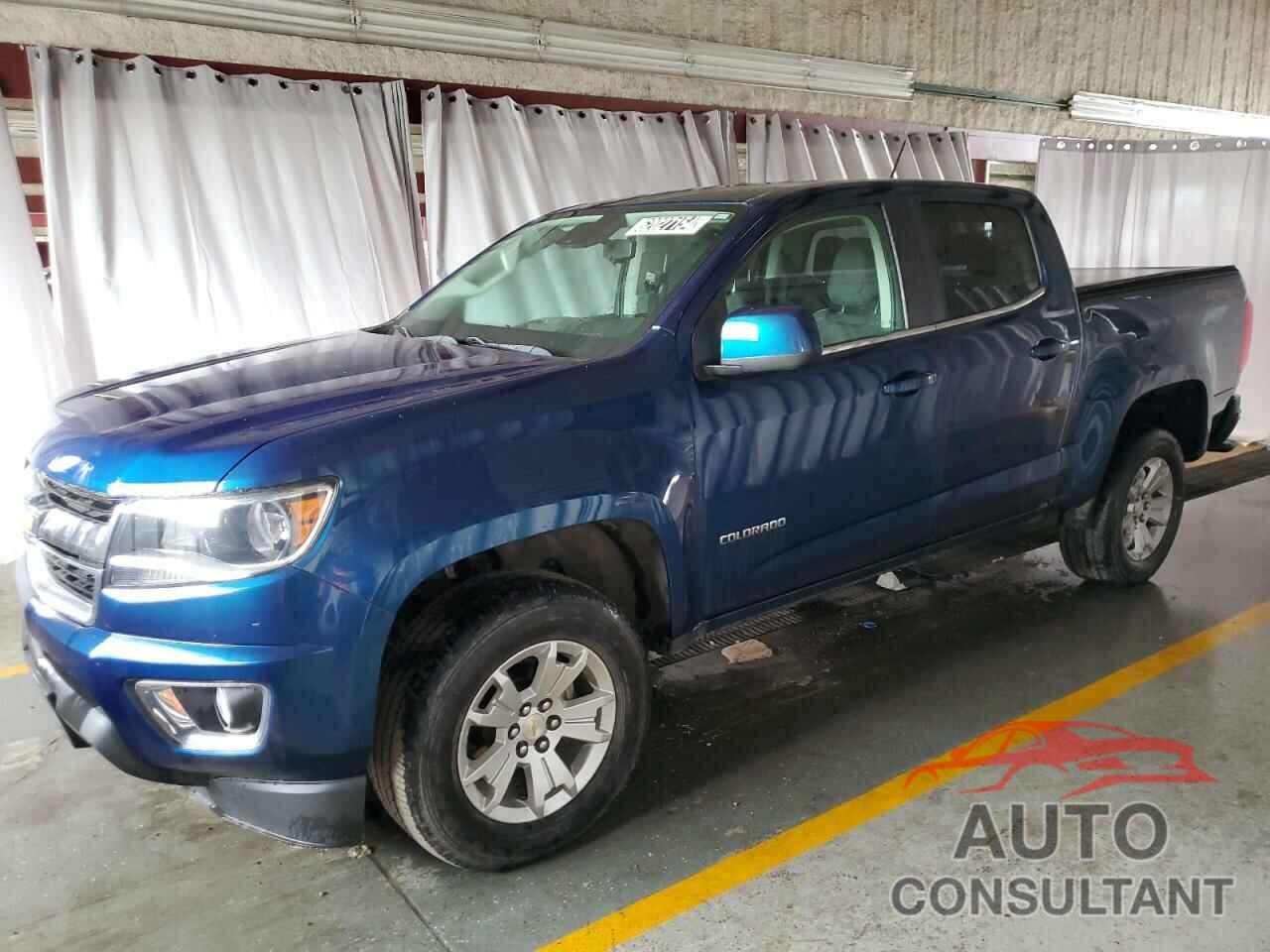 CHEVROLET COLORADO 2019 - 1GCGTCEN5K1207881