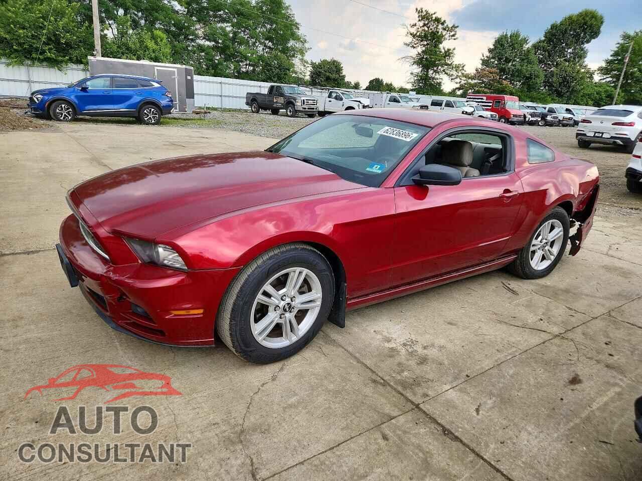 FORD MUSTANG 2014 - 1ZVBP8AM4E5245721