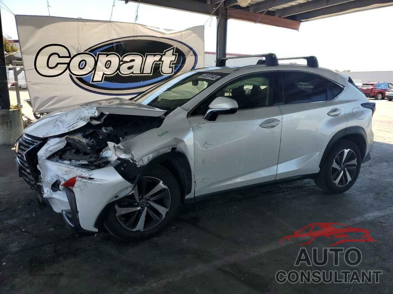 LEXUS NX 2019 - JTJBARBZ6K2207406