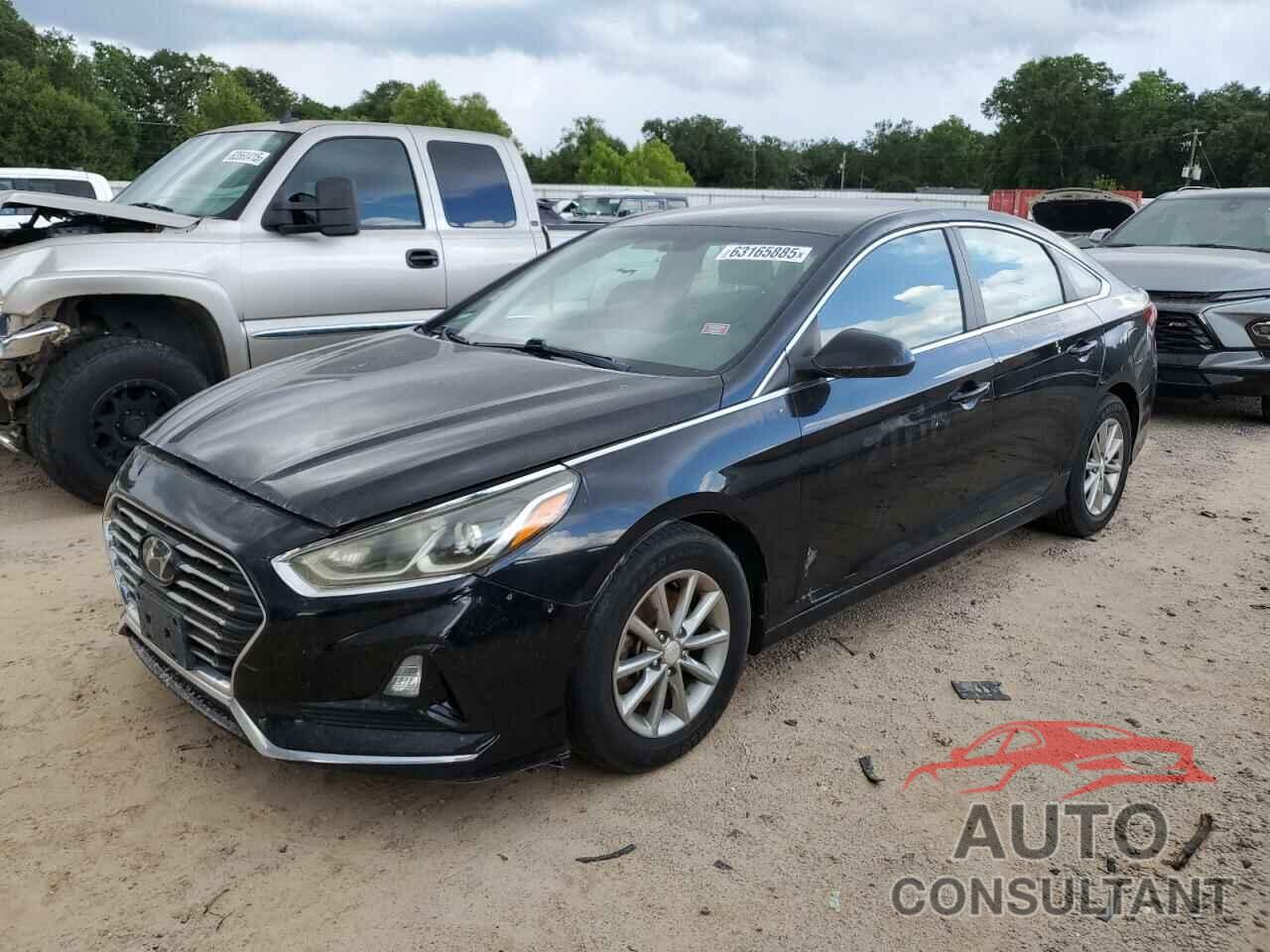 HYUNDAI SONATA 2019 - 5NPE24AF6KH735761