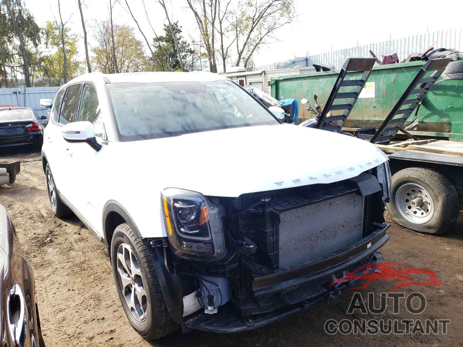 KIA TELLURIDE 2020 - 5XYP3DHC4LG076041