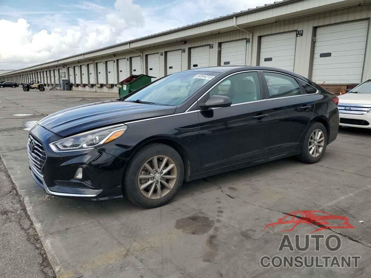HYUNDAI SONATA 2019 - 5NPE24AF1KH754248