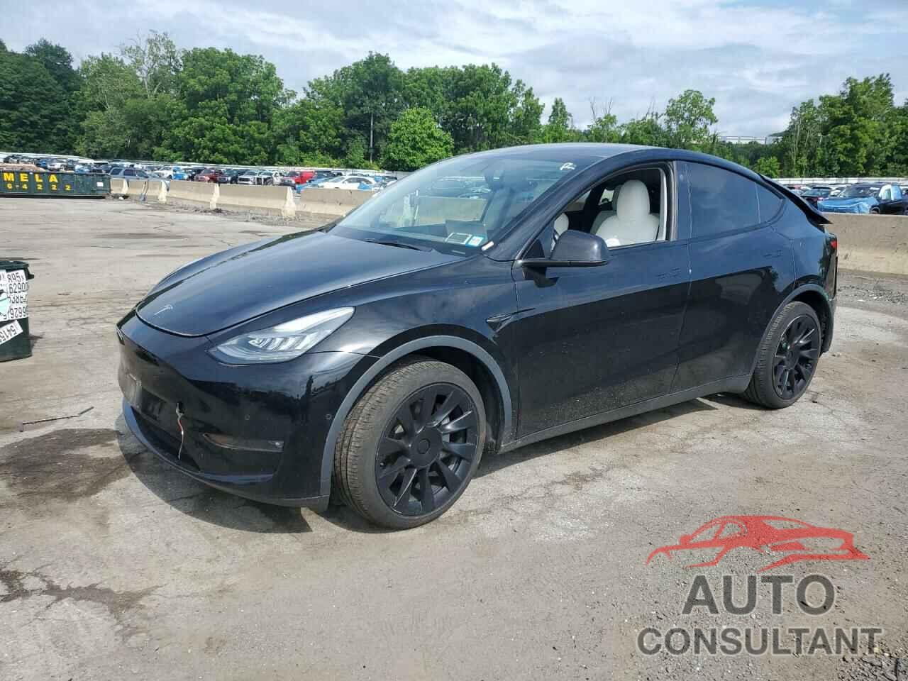 TESLA MODEL Y 2021 - 5YJYGDEE0MF119152