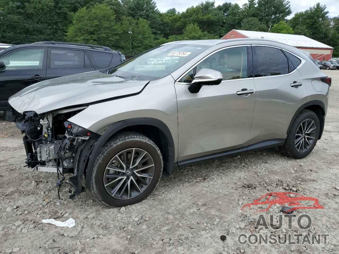 LEXUS NX 350 PRE 2024 - 2T2GGCEZ9RC051448