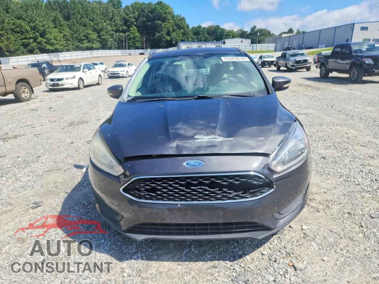 FORD FOCUS 2016 - 1FADP3K25GL371019