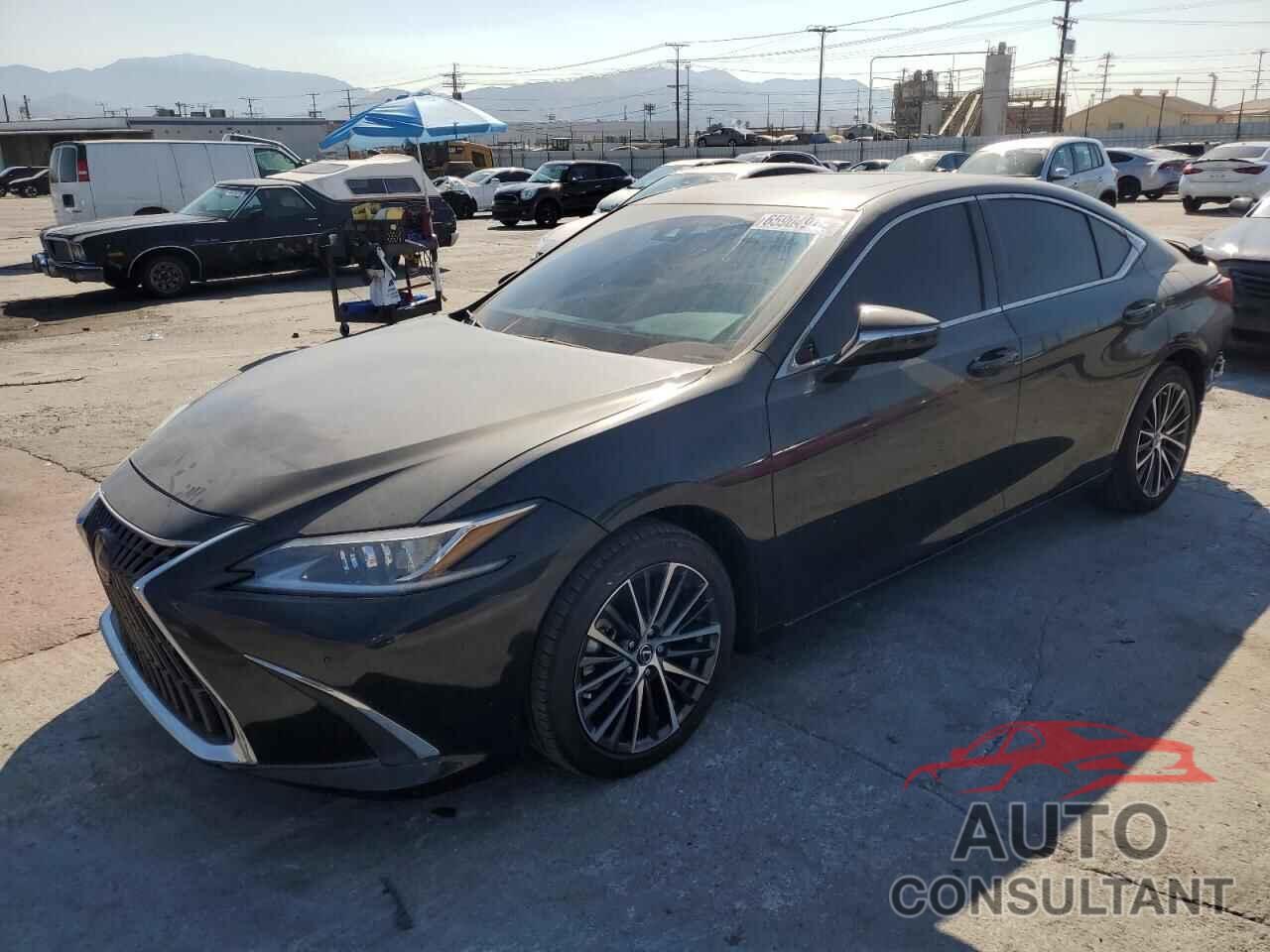 LEXUS ES300 2024 - 58ADA1C19RU052519