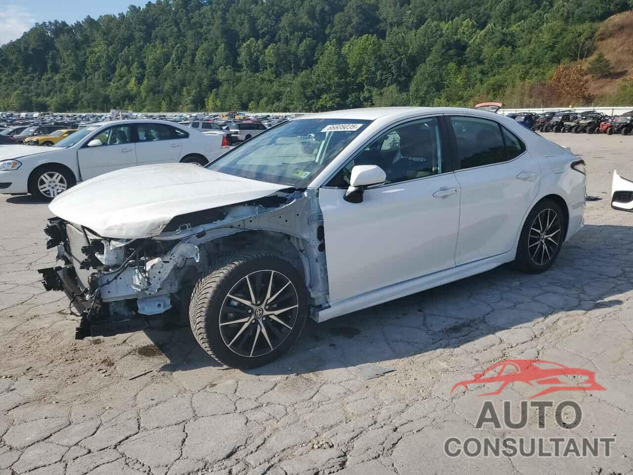 TOYOTA CAMRY 2024 - 4T1G31AK3RU064353
