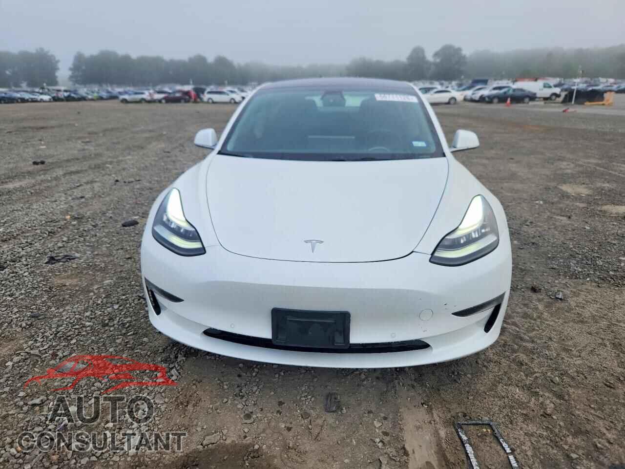 TESLA MODEL 3 2019 - 5YJ3E1EA3KF425111