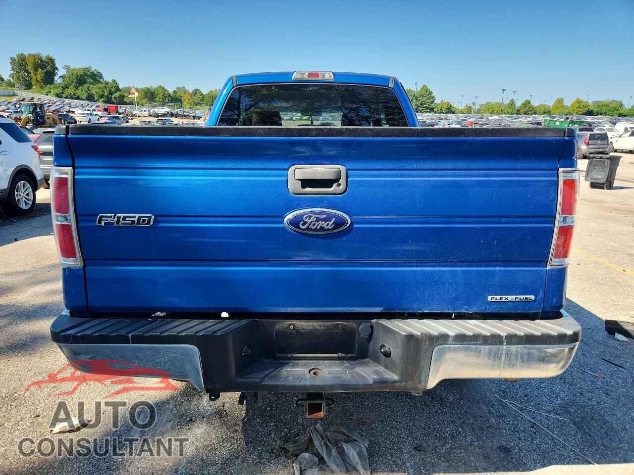 FORD F150 2013 - 1FTFX1EF5DFD71666