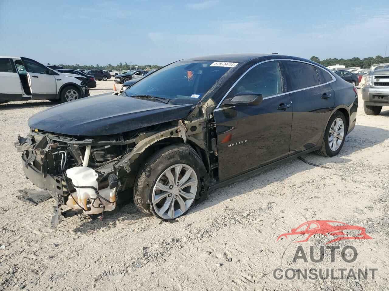 CHEVROLET MALIBU 2019 - 1G1ZD5ST7KF145481