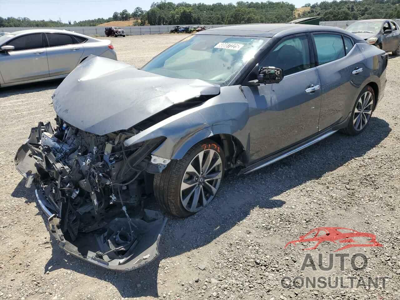 NISSAN MAXIMA 2019 - 1N4AA6AV4KC369112