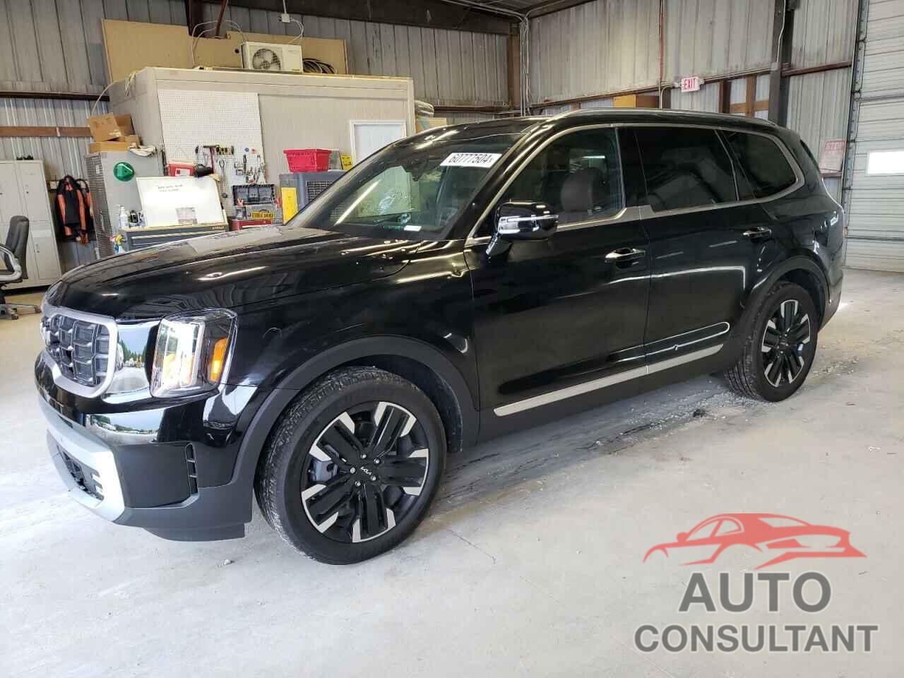 KIA TELLURIDE 2024 - 5XYP5DGC6RG479846