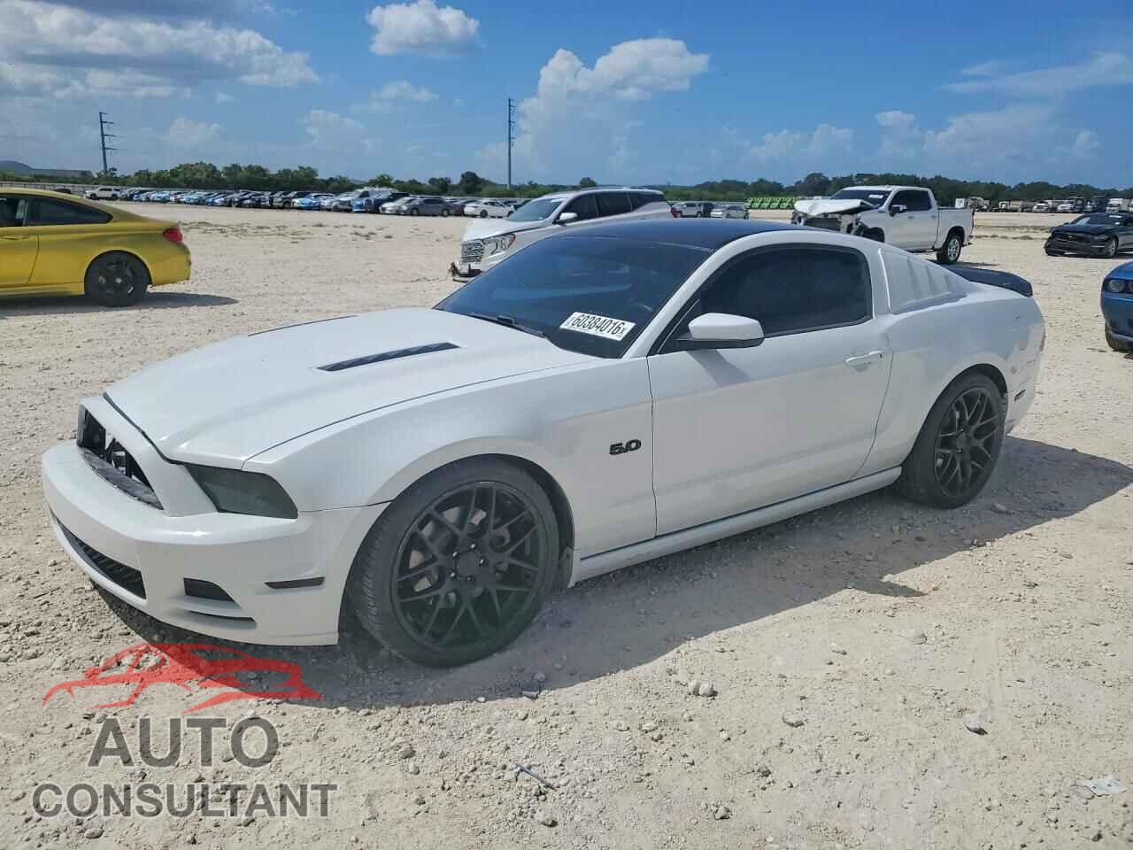 FORD MUSTANG 2014 - 1ZVBP8CF1E5224145