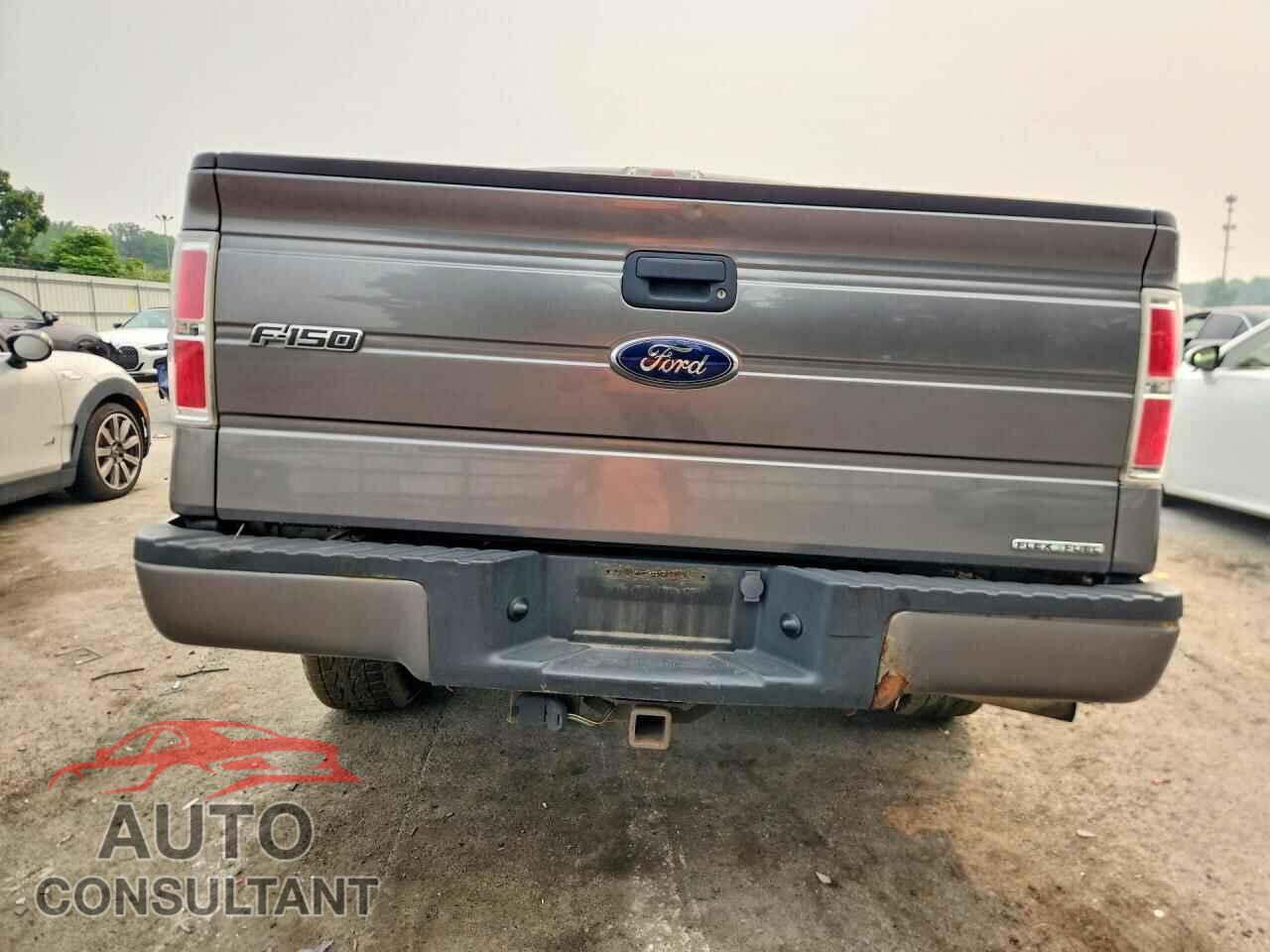 FORD F150 2013 - 1FTFX1CF1DFA00961
