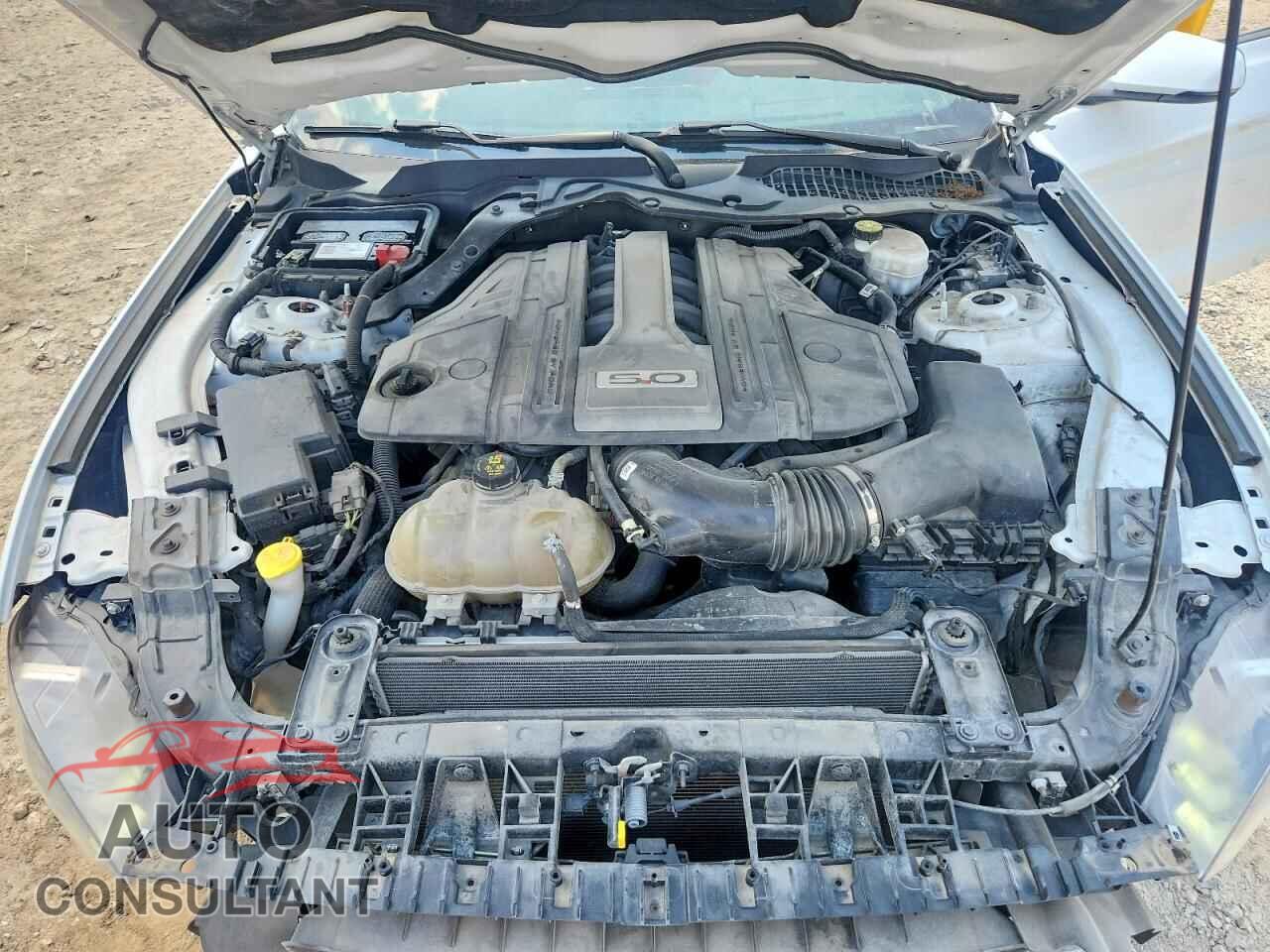 FORD MUSTANG 2019 - 1FA6P8CF1K5113522