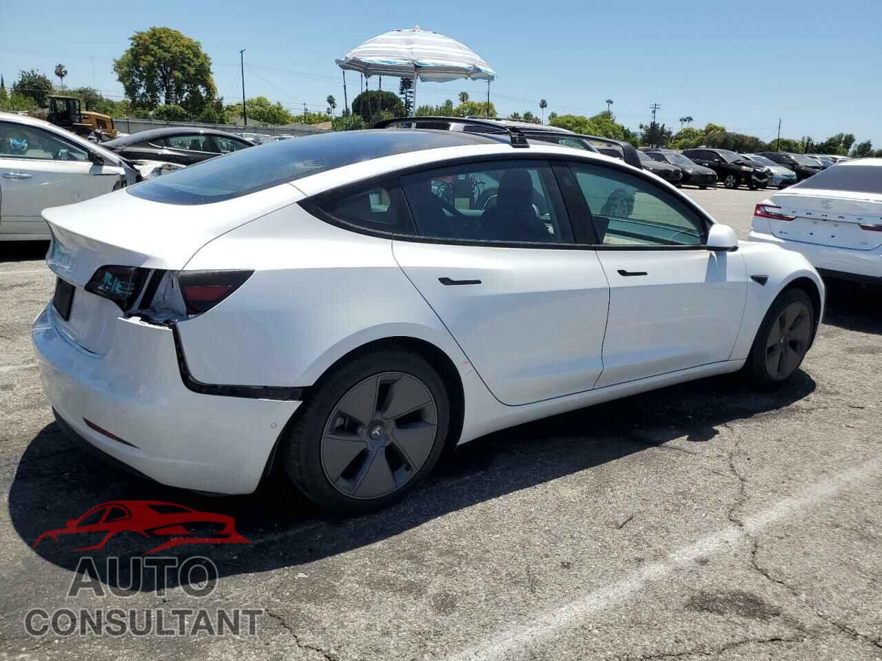 TESLA MODEL 3 2021 - 5YJ3E1EA8MF021966