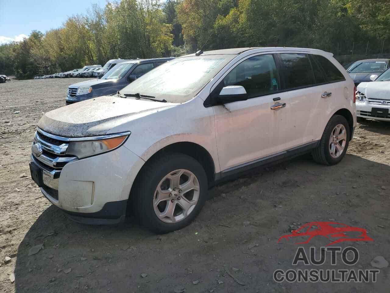 FORD EDGE 2011 - 2FMDK4JC4BBB36785