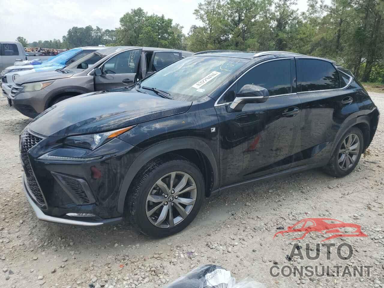 LEXUS NX 2019 - JTJYARBZ4K2133882