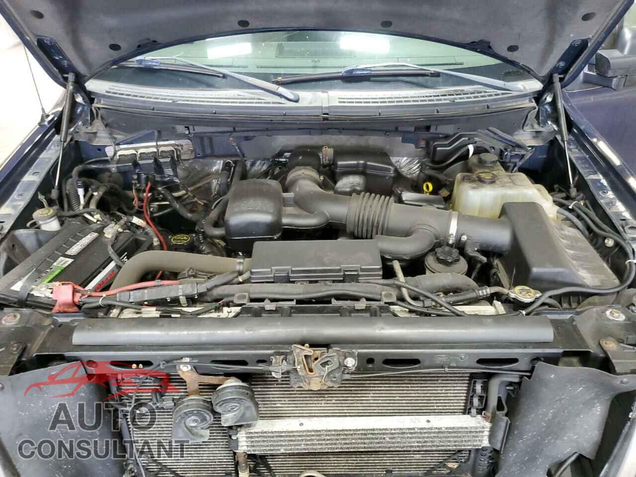 FORD F-150 2010 - 1FTFW1EV1AFD52490