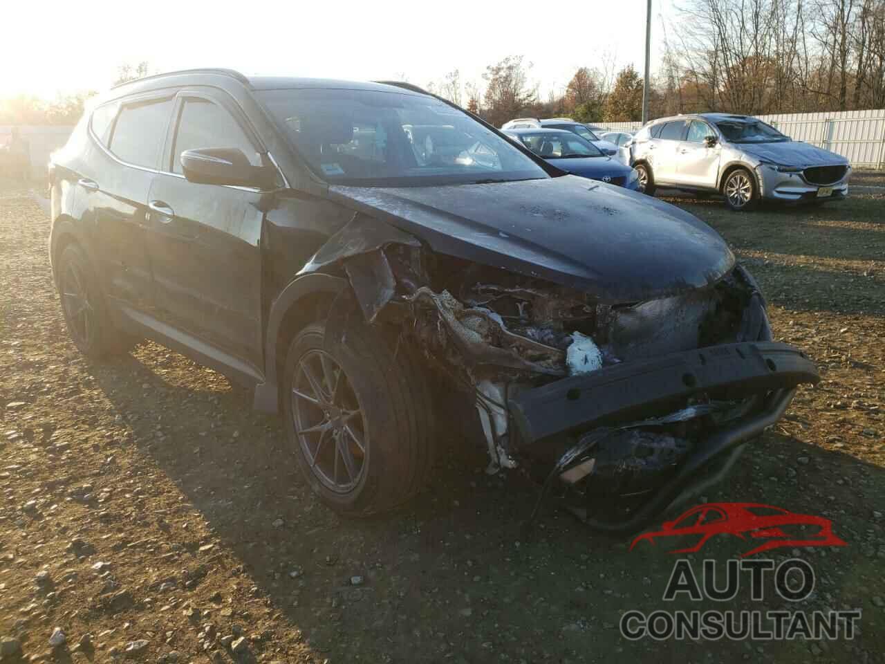 HYUNDAI SANTA FE 2017 - 5NMZUDLB7HH024243