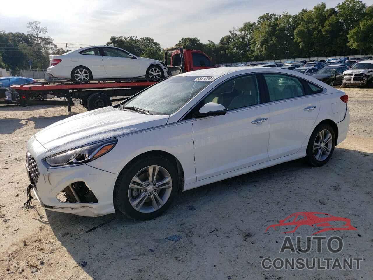 HYUNDAI SONATA 2019 - 5NPE34AF7KH766062