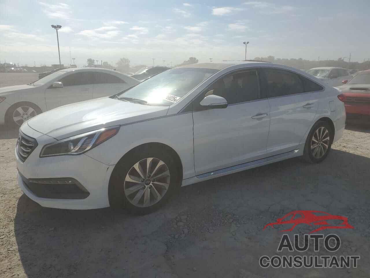 HYUNDAI SONATA 2016 - 5NPE34AF1GH429894