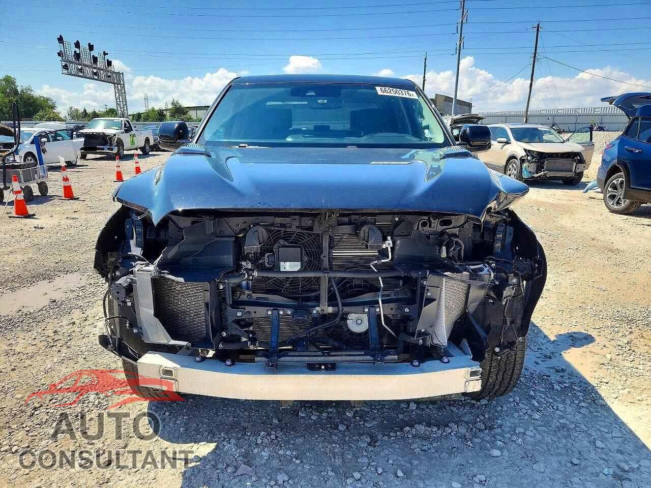 TOYOTA TUNDRA 2024 - 5TFWC5DB6RX063473