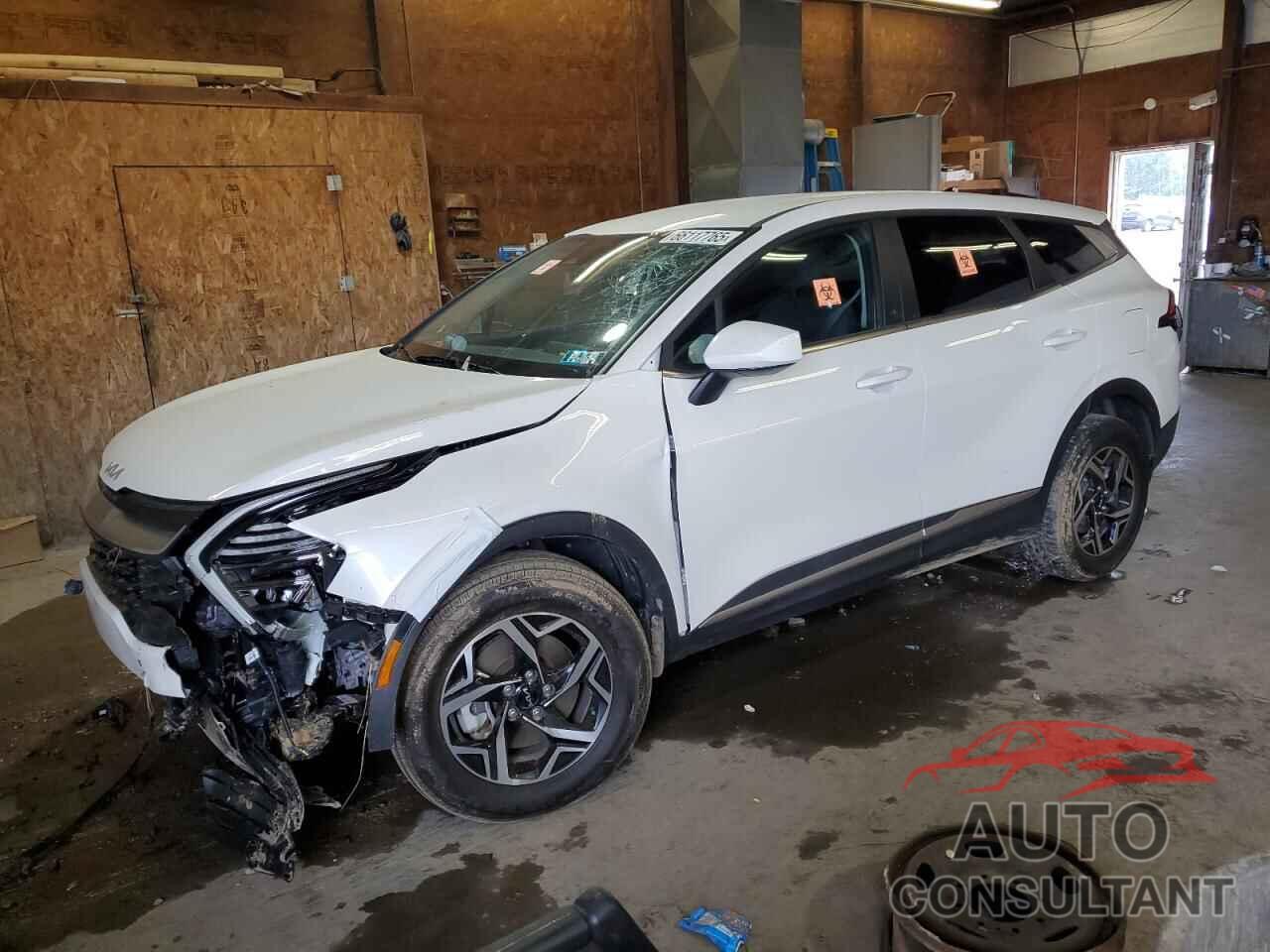 KIA SPORTAGE 2024 - KNDPUCDF5R7224971