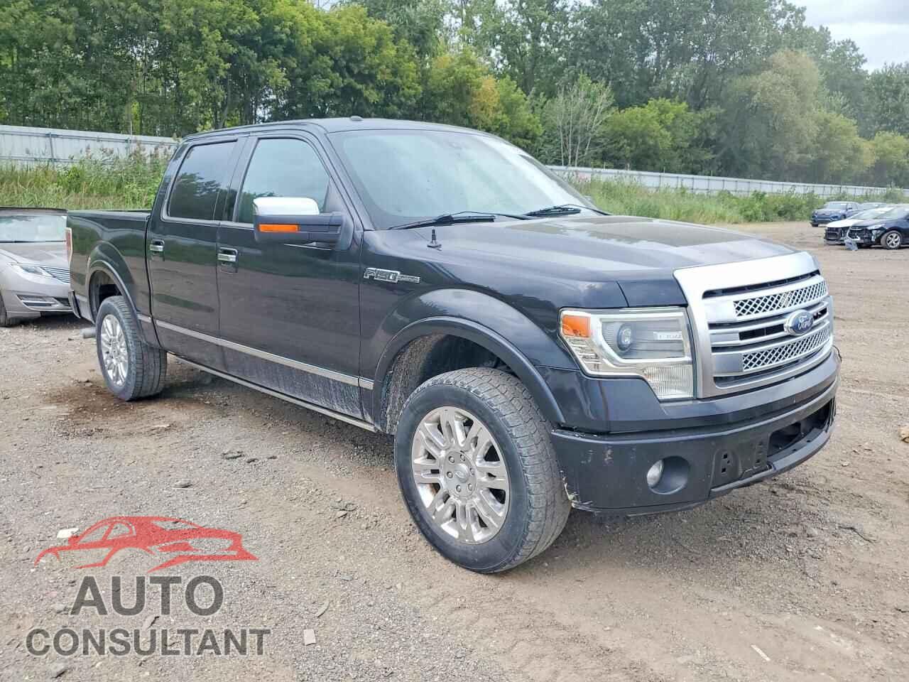 FORD F150 2013 - 1FTFW1EF1DFD25433