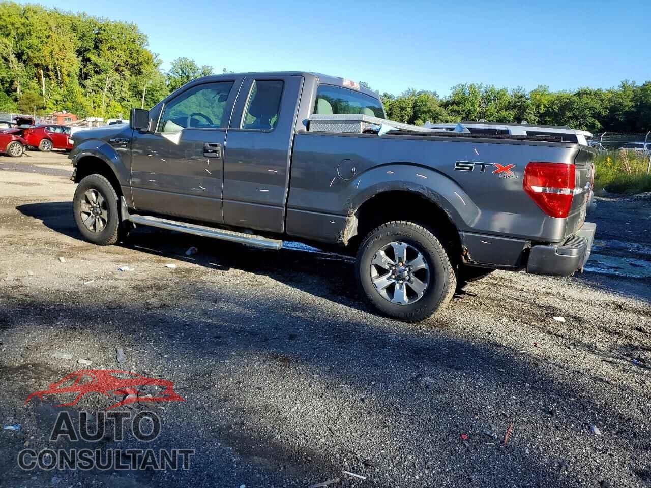 FORD F150 2013 - 1FTFX1EF2DFD14809