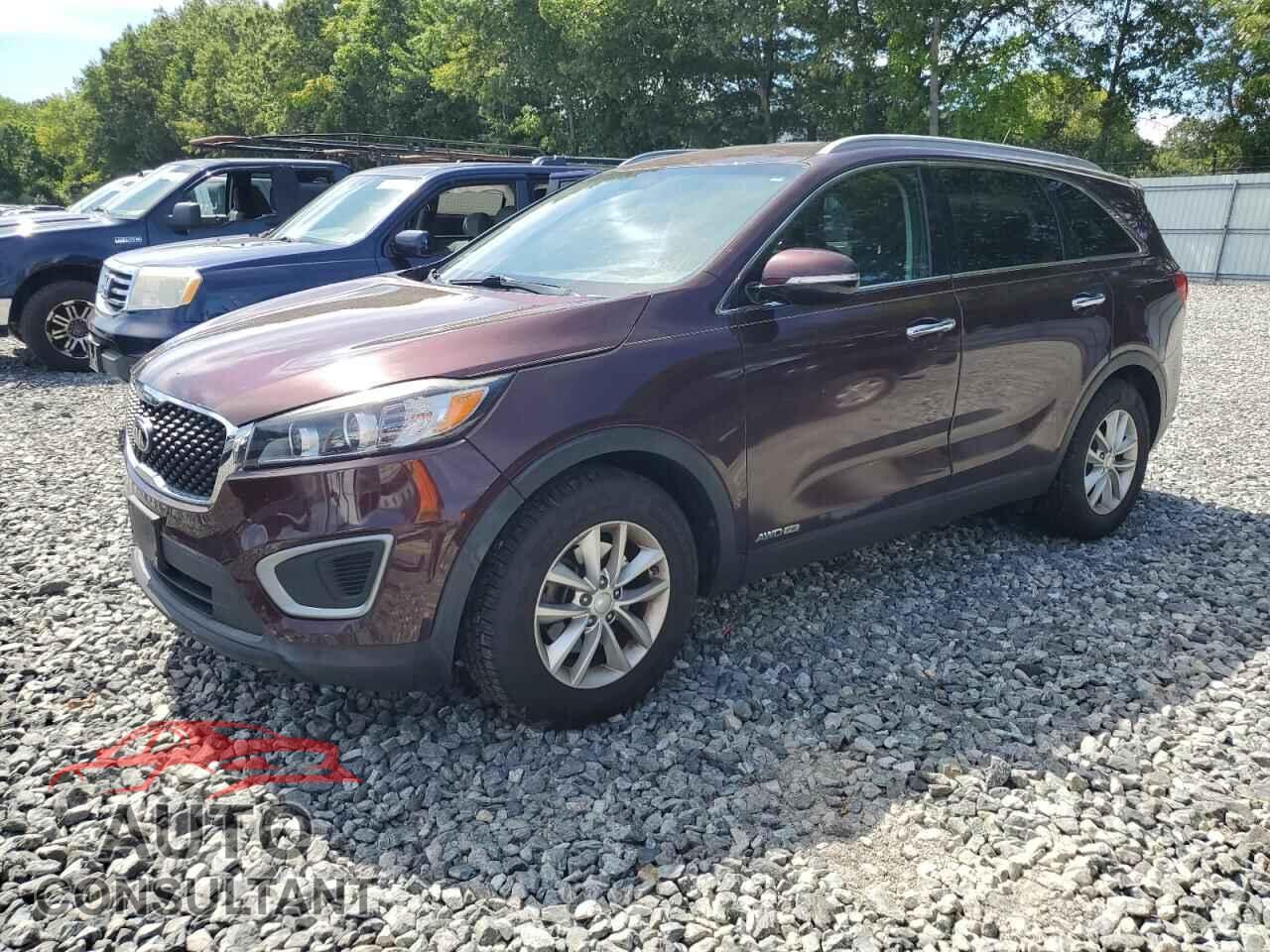 KIA SORENTO 2017 - 5XYPGDA55HG324174