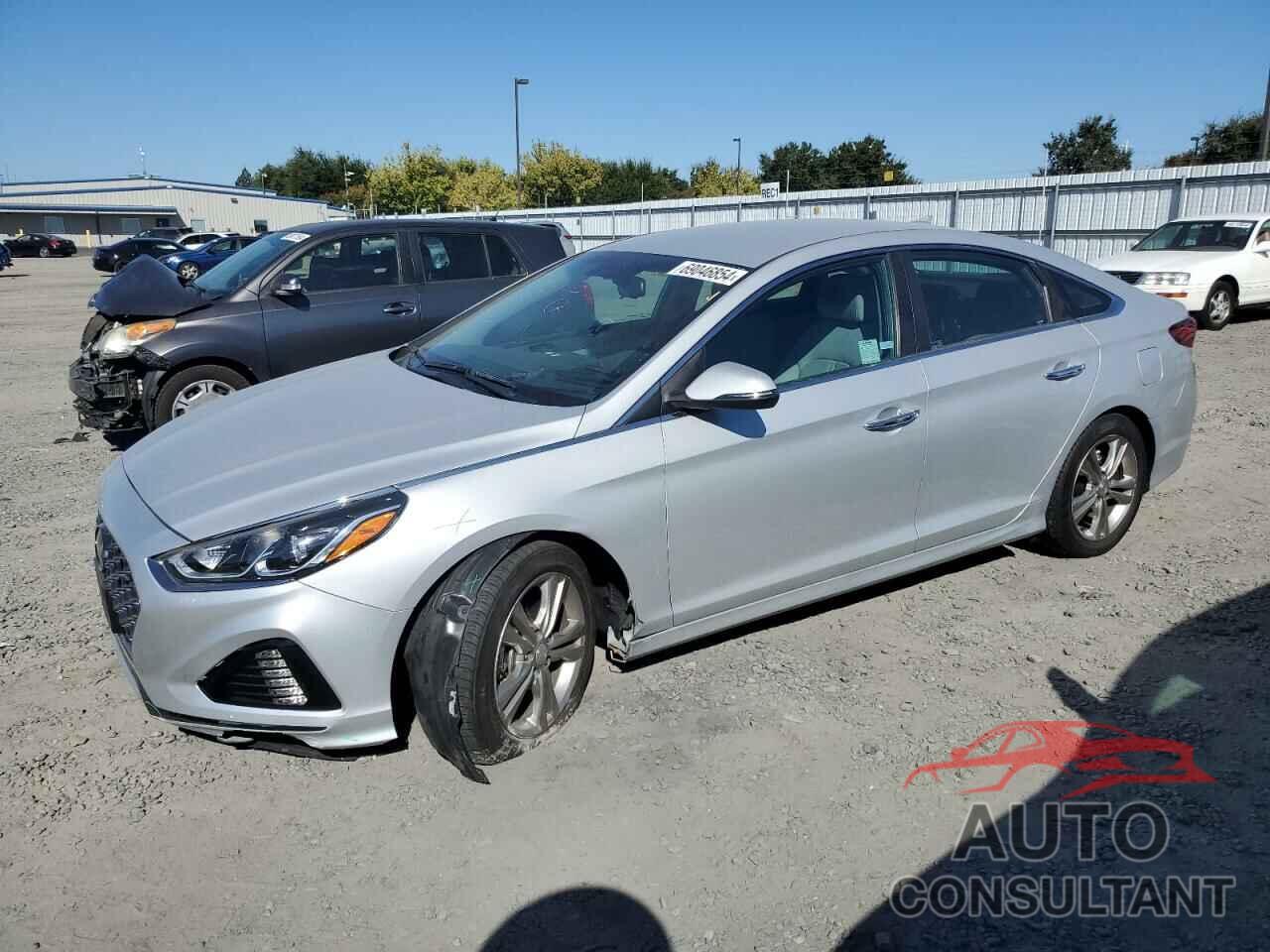 HYUNDAI SONATA 2019 - 5NPE34AF7KH818032