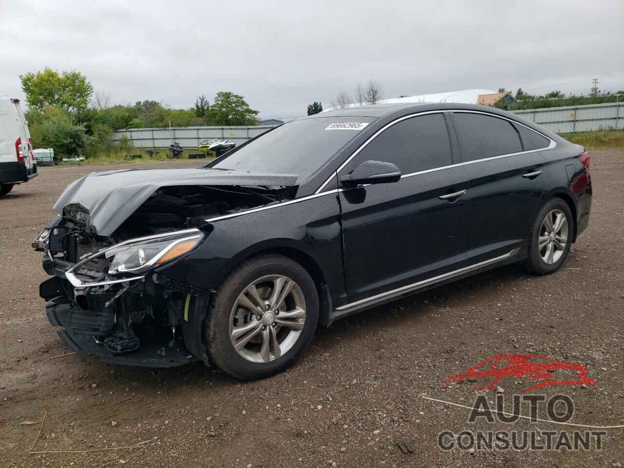 HYUNDAI SONATA 2019 - 5NPE34AF5KH763483