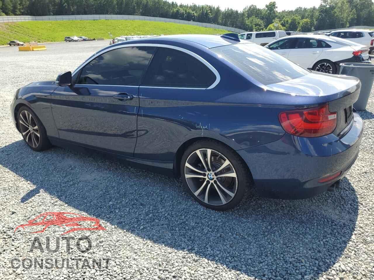 BMW 2 SERIES 2014 - WBA1F5C54EV255748