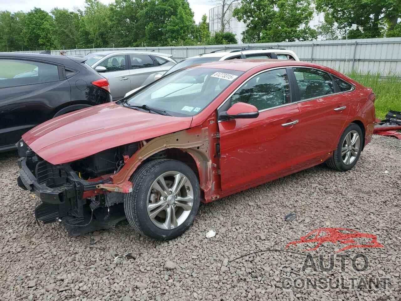 HYUNDAI SONATA 2019 - 5NPE34AF8KH814989