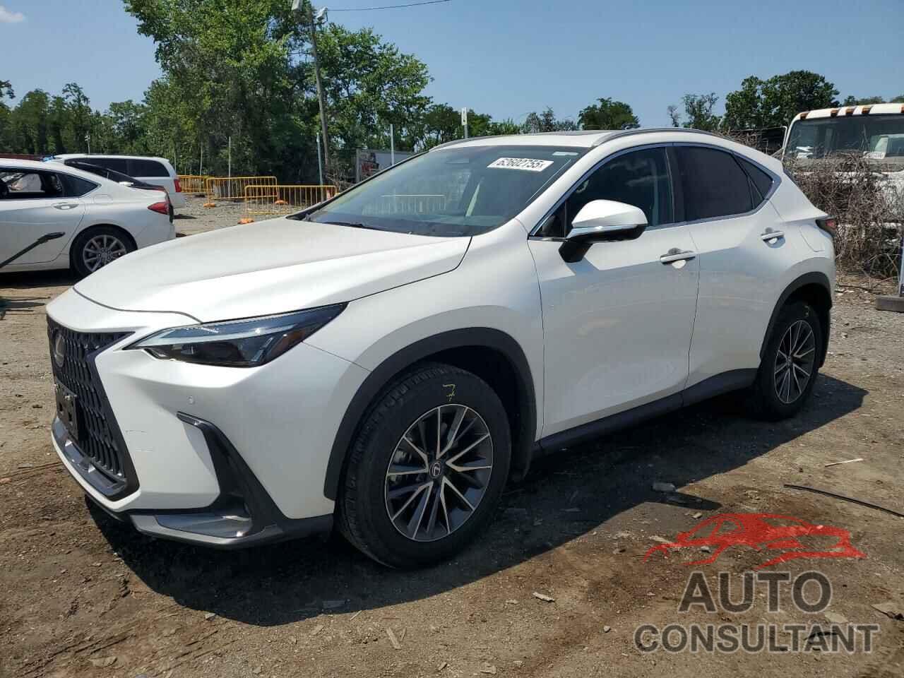 LEXUS NX 350 PRE 2024 - 2T2GGCEZ0RC056702