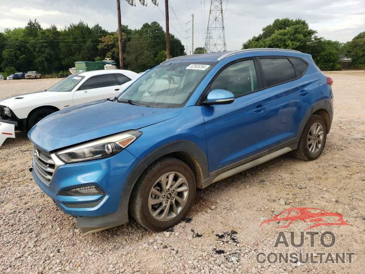 HYUNDAI TUCSON 2017 - KM8J33A40HU440217