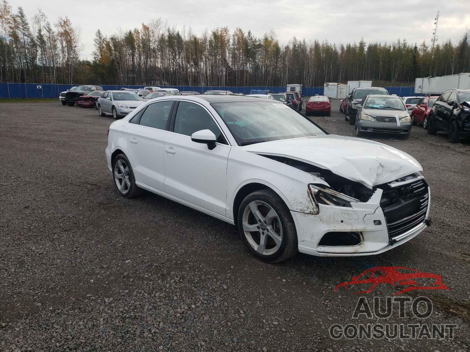 AUDI A3 2019 - WAUBEGFF2K1017648