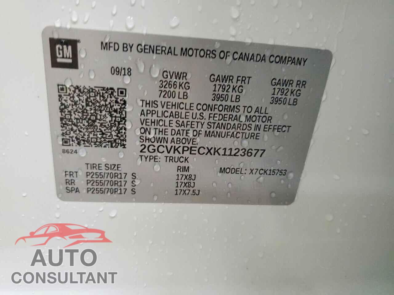 CHEVROLET SILVERADO 2019 - 2GCVKPECXK1123677