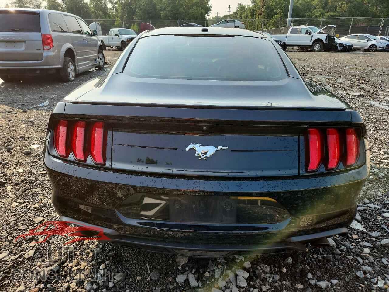 FORD MUSTANG 2019 - 1FA6P8TH2K5138043