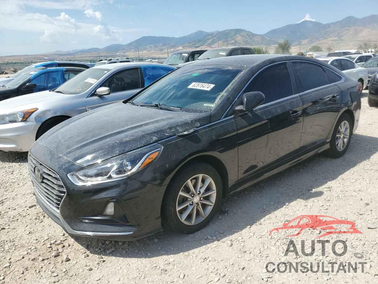 HYUNDAI SONATA 2019 - 5NPE24AF3KH750198