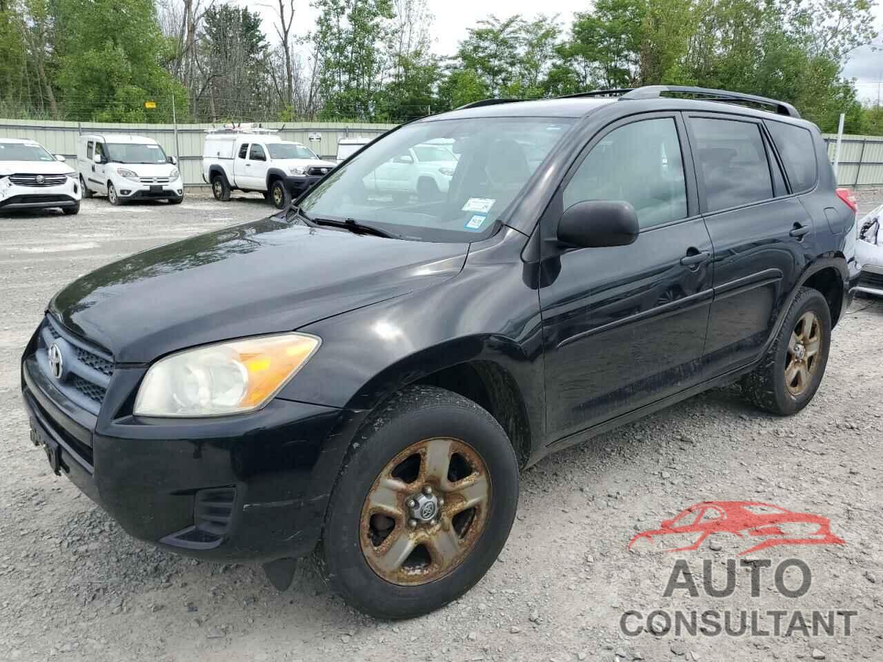 TOYOTA RAV4 2011 - 2T3BF4DV6BW113826