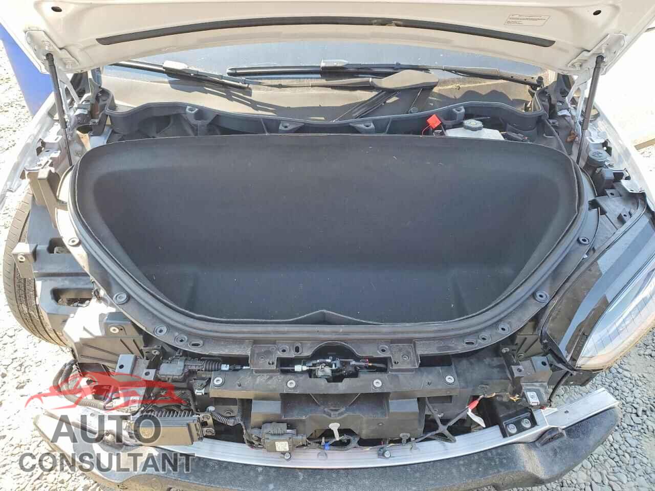 TESLA MODEL X 2024 - 7SAXCBE61RF439871